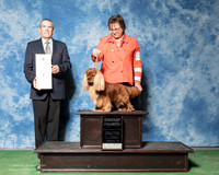 Cavalier King Charles Spaniel #15 Fri G4 Herbel Spears Dr Carmen Max R Bruns Agent Susan Taylor Katzenstein Judge Dana Cline