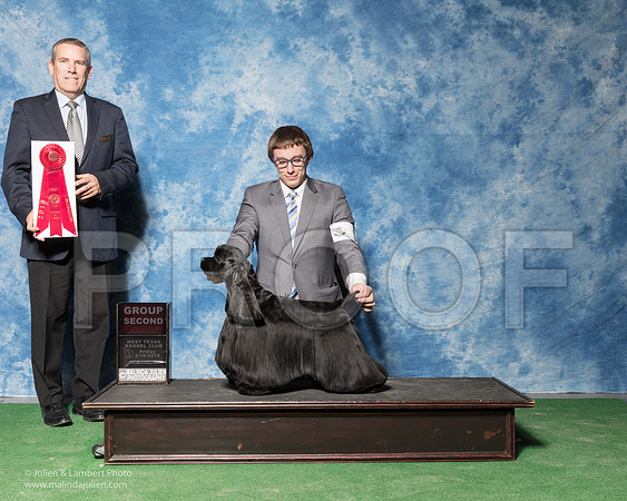 Cocker Spaniel Black #5 Hanlin Jeffrey Mark J Ragusa Marlene Ness Judge Dana Cline-_SR_6818