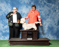 Dandie Dinmont Terrier #5 Spears Dr Carmen H Caroline Chas Blair Agent Susan Taylor Katzenstein Judge Denny Mounce