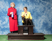 French Bulldog #23 Fri BOW Kelle Robert E Pamela A Agent Judy King Judge Nancy Simmons