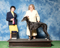 Greyhound #6 Fri BOB Elaine Summerhill Judge Barbara Alderman