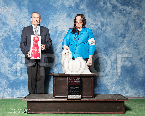 Maltese #9 Fri G2 Holibaugh Tonia Judge Dana Cline-_SR_6909