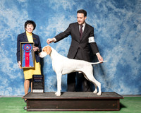 Pointer #5 Fri RBIS Mosing Jennifer BL Diane O'Neil Page O'Neil Agent Brian Livingston Judge Barbara Alderman