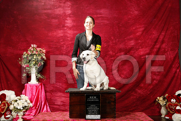 _ST_2739-2-BeltonJan2015IABCA-HR3