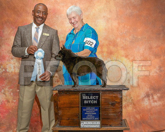 _ST_2371-CarlrolltonSept2014-HR3
