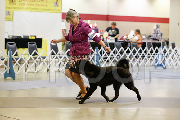 _JJ_9706-AmarilloSept2014-HR3