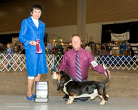 Basset Hound #5 Sat WD David Shaw Judge Barbara Alderman