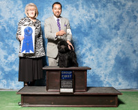 Affenpinscher #7 Sat G1 Girouard Doyle Carol Agent Alfonso Escobedo Judge Nancy Simmons