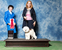 Bichon Frise #7 Sat G2 Fellbaum Carol Cecelia Ruggles Judge Barbara Alderman