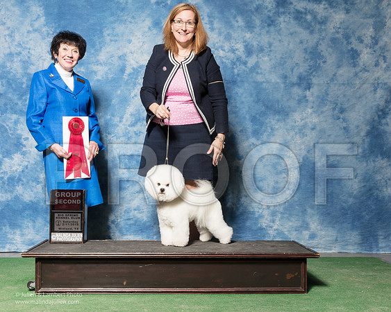 Bichon Frise #7 Sat G2 Fellbaum Carol Cecelia Ruggles Judge Barbara Alderman-_SR_7034