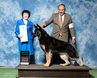 German Shepherd #5 Sat G4 Farais Juan Manuel Agent Sergio Espejo Barbara Alderman