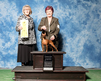 Miniature Pinscher #8 Sat G3 Joan Spiva Darlene Teter Judge Nancy Simmons