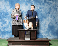 Papillon #35 Sat WD New Ch Stewart Grace Judge Nancy Simmons