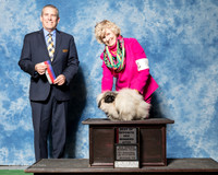Pekingese #8 Sat BOS WB Blakenship Carmen Judge Dana Cline