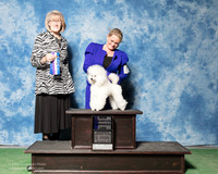 Toy Poodle #15 Sat WD New Ch Lund Carita Jakub Kruczek Tiffany Roberts Judge Nancy Simmons