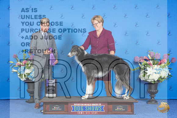 Borzoi #32 FRI WB BW M Judge Douglas Johnson__JP_8964_Houston_2024_HR3