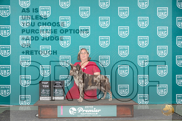 Mudi #205 Thur Top10BOBTD Judge Stephanie Mueller__JP_2983_Premier_2024_HR3