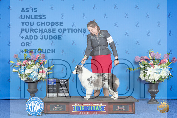 Border Collie #12 FRI WB BOW Judge Annella Cooper__JP_9277_Houston_2024_HR3