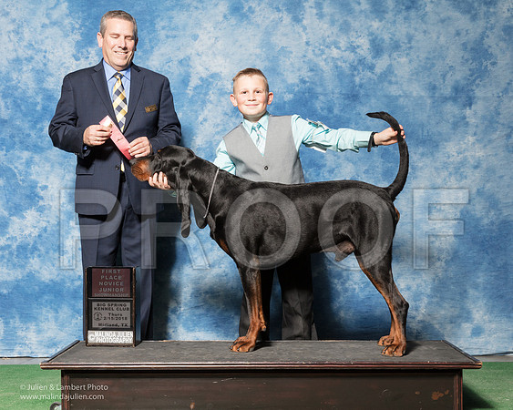 Black and Tan Coonhound #J6 Sat 1st Nov Junior Judge Dana Cline-_SR_7012