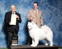 Samoyed #5 Sat G3 Chaffin R T Galle Evy Widjaja Judge Dr Donald Gill
