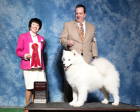 Samoyed #5 Thurs G2 Chaffin R & T Galle Evy Widjaja Judge Barbara Alderman