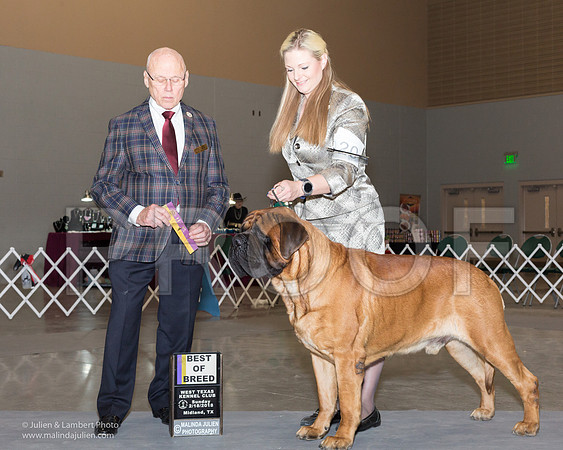 Mastiff #5 Sun BOB Sanchez Joe Carla Sanchez Alix Sanchez Agent Holly Leftwich Judge Edd Bivens-_JJL0853
