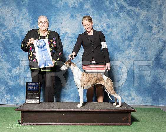 Whippet #12 FRI G1 Harris Carol A Deborah Bahm Agent Ashlie Whitmore Judge Denny Mounce-_SR_7197