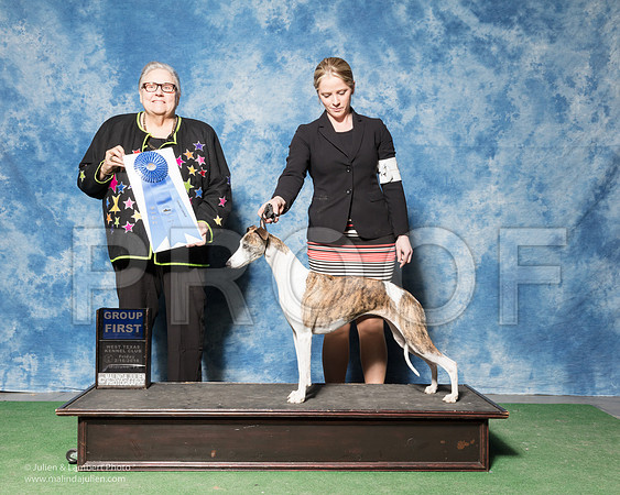 Whippet #12 FRI G1 Harris Carol A Deborah Bahm Agent Ashlie Whitmore Judge Denny Mounce-_SR_7198