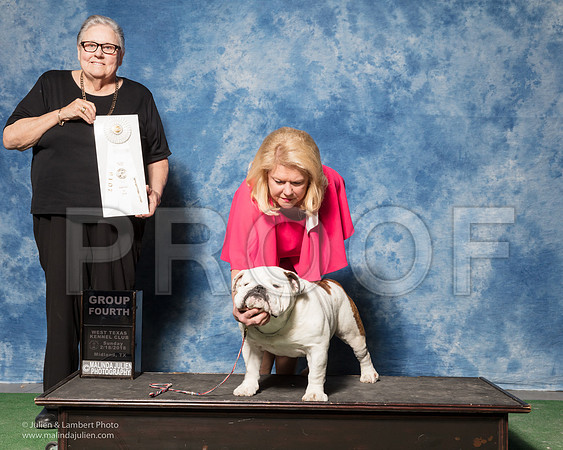 Bulldog #7 Sun G4 Scott Linda Judge Denny Mounce-_SR_7279