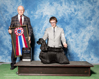Cocker Spaniel Black #5 Sun BIS HANLIN Jeffrey Mark J Ragusa Marlene Ness Judge Edd Bivens