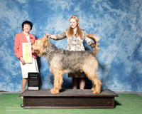 Otterhound #5 Sun G3 MELLON WJ, SL MacQuiddy D K Steffen Agent Holly Leftwich Judge Barbara Alderman