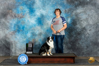 Miniature American Shepherd #12 Sat RQ Judge Susie Osborn