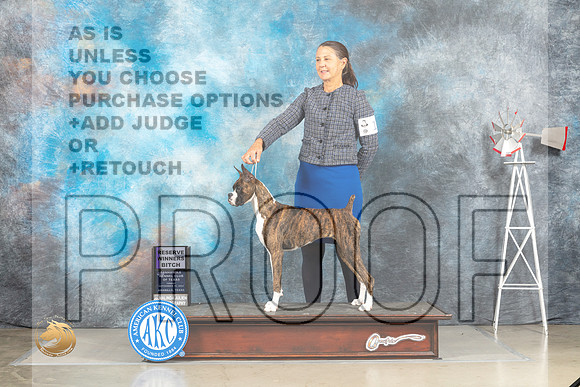 Boxer #10 Fri RWB Judge Sharon Derrick_MJ_3890_Amarillo_2022_HR3