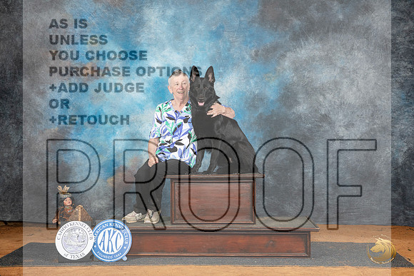 German Shepherd Dog #24 OB__JP_7848_MARSHALL_2024_HR3