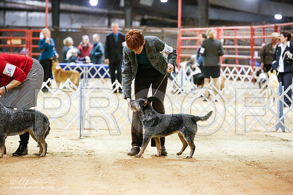 _JN_4940-2-GlenRoseJan2015-HR3