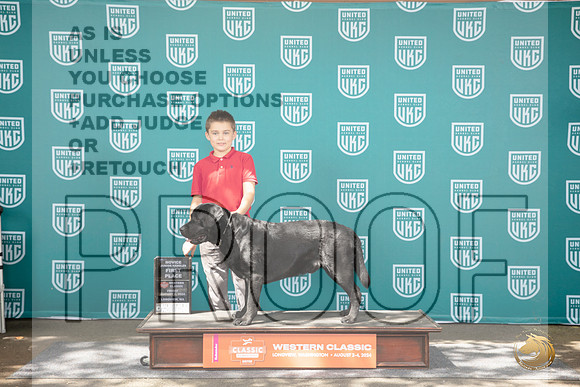 Labrador Retriever #344 Fri 1st NoviceJr Judge Alan Krenek__JP_1180_Longview WA_2024_HR3