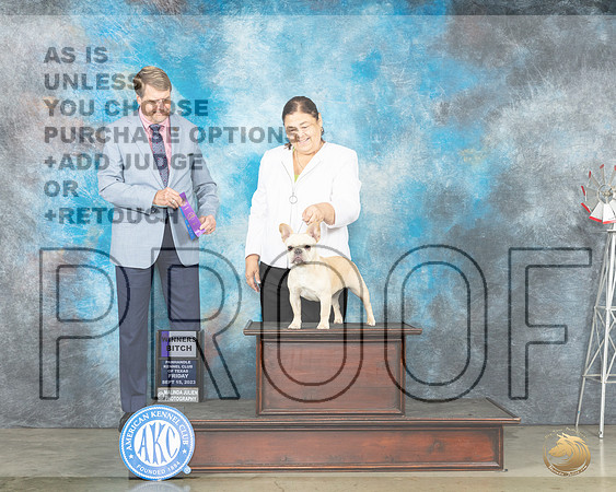 French Bulldog #12 Fri WB Judge Randy Garren_JP_3759e_Amarillo2023_HR3