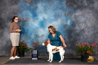 Brittany #24 Sat SB Judge Robert E Stein Sat BOSGCH Judge Christie Martinez