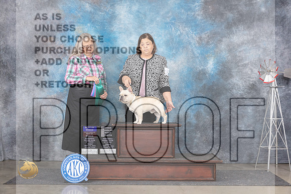 French Bulldog #15 Fri BOWBOBOHBOB Judge Denise Dean__JP_5580_Amarillo_2024_HR3