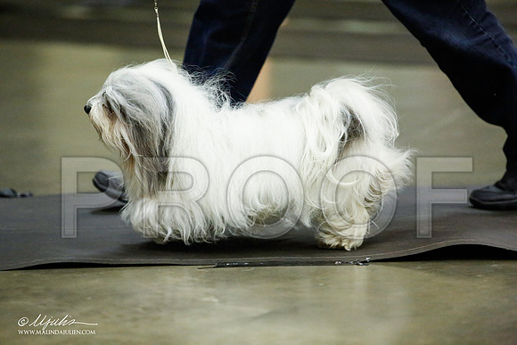 _JJ_5421-BeltonJan2015IABCA-HR3