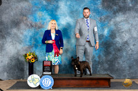 French Bulldog #11 Sat G2 Judge Edy Dykstra-Blum