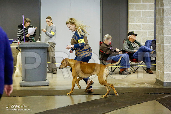 _RH_1407-BeltonJan2015IABCA-HR3