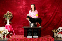 Miniature American Shepherd Sun New Int'l & Nt'l Ch Cierra Moore