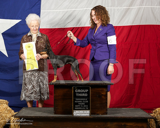 _ST_1444-AmarilloSep2014-HR3