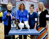 Papillon #39 Sat Major Win Best of Winners Motega J and A Wright and A Motega and D Fayard Judge N Hafner