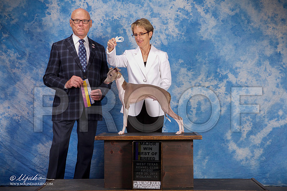 SS2_0633-BeltonJan2015IABCA-HR3