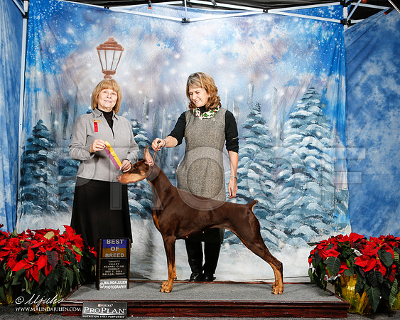 _ST_9408-2-DallasDec2014-HR3