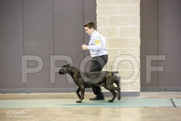 _JN_1674-BeltonJan2015-HR3