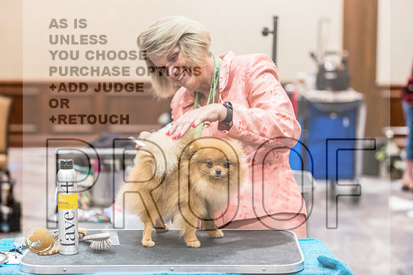 *Candids Pomeranian Fri JJL_3626_HstnTOY_2022_HR3