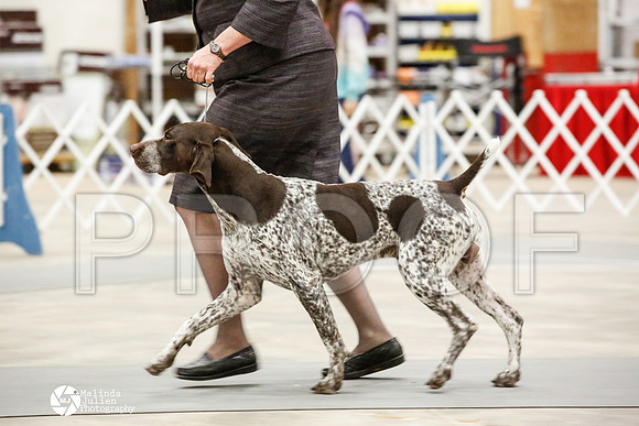 _JN_0805-AblnMay2014-web